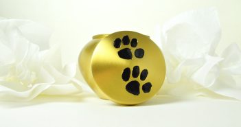 urn with paw prints for your pet's ashes