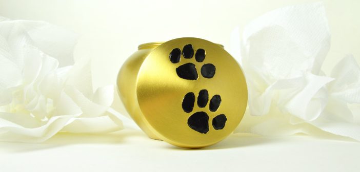 How You Can Honor Your Pet With Their Ashes