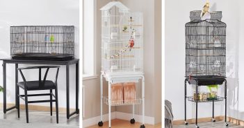 Examples of bird cages for pet birds including tabletop and standing cages.