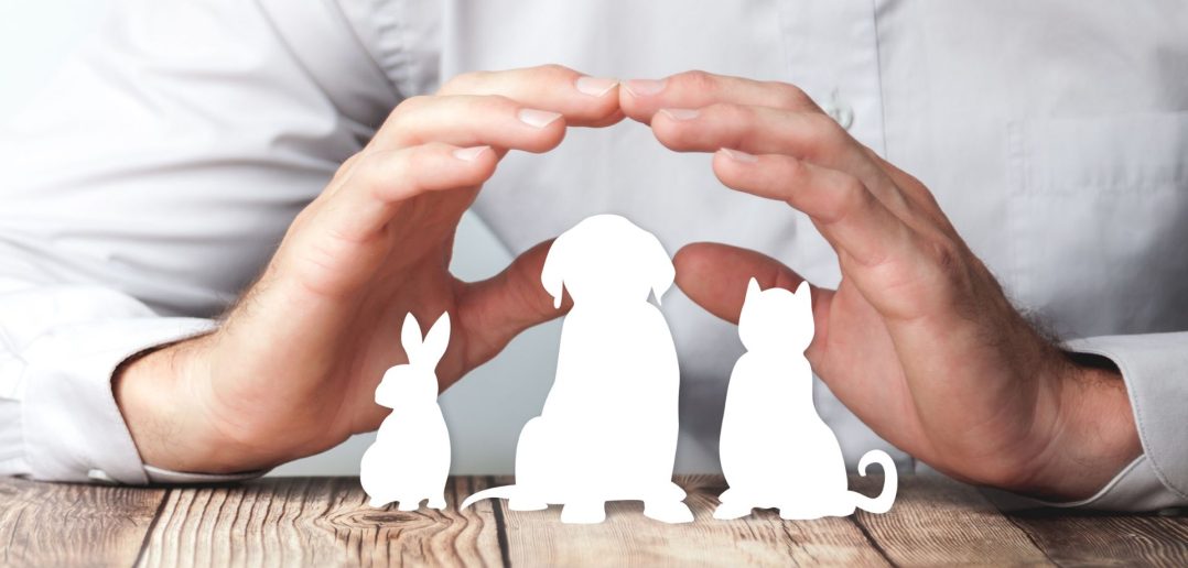 Hands shelter cutout silhouettes of a rabbit, dog, and cat on a wooden table, symbolizing pet protection and care.