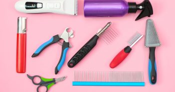 pet grooming tools including a clippers, spray bottle, combs, brushes, and nail clippers