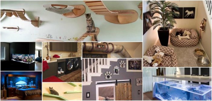 collage of pet home customization examples