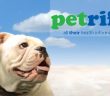 petrific video screenshot and logo