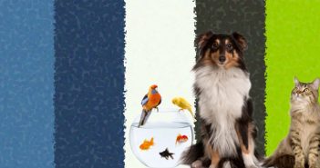 dog, cat, two birds, and three fish