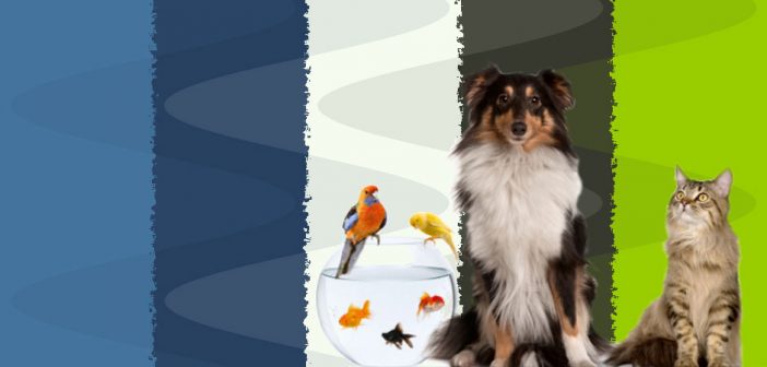 dog, cat, two birds, and three fish