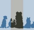 dog, cat, ferret, rabbit, mouse, birds, fish