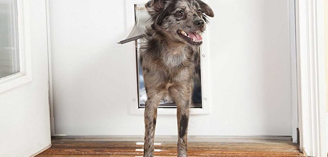 petsafe doggie door