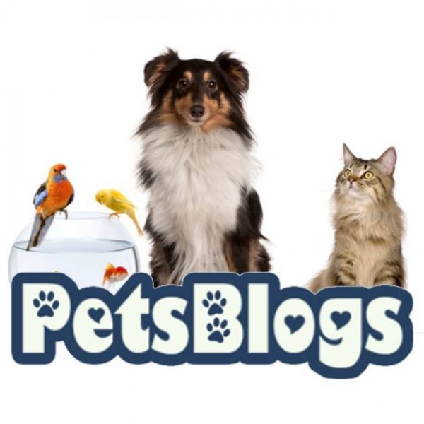 Top 10 Jobs Working With Animals PetsBlogs