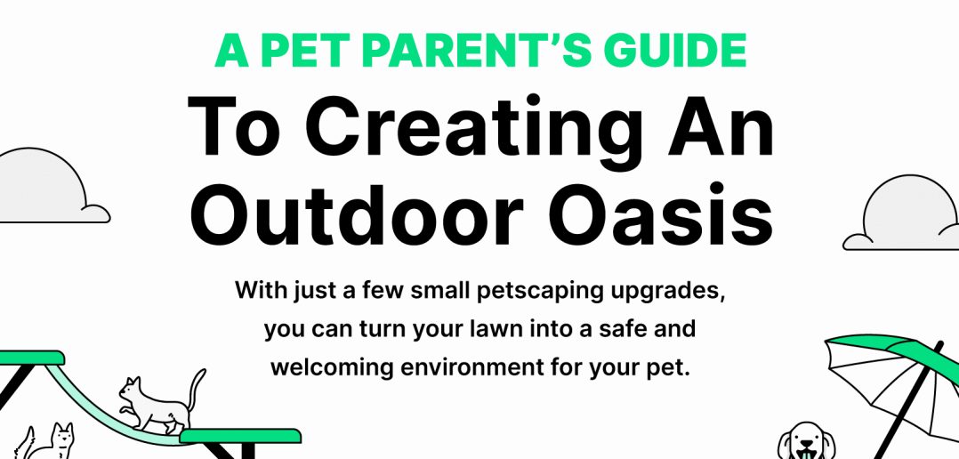 Graphic banner that says A Pet Parent's Guide to Creating An Outdoor Oasis