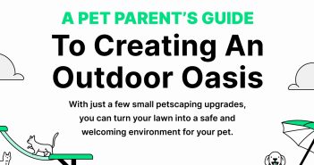 Graphic banner that says A Pet Parent's Guide to Creating An Outdoor Oasis