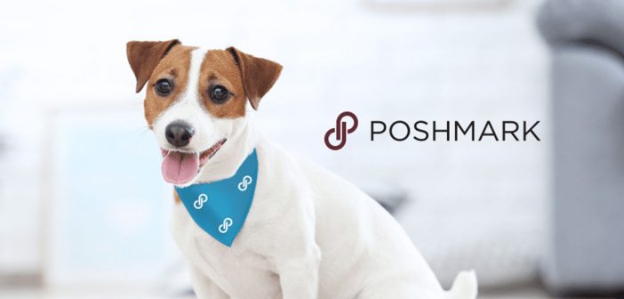 dog wearing a poshmark logo bandana with the poshmark logo in the background