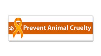 prevent animal cruelty car magnet bumper sticker