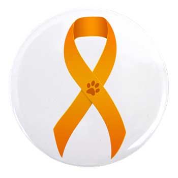 orange ribbon button to wear to help prevent animal cruelty
