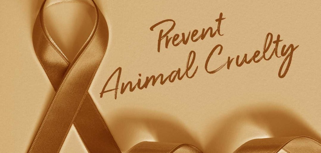orange ribbon prevent animal cruelty banner