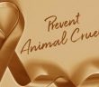 orange ribbon prevent animal cruelty banner