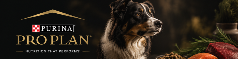 Purina Pro Plan dog food banner with border collie and nutrition that performs tagline