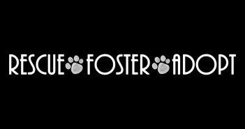 rescue, foster, adopt graphic