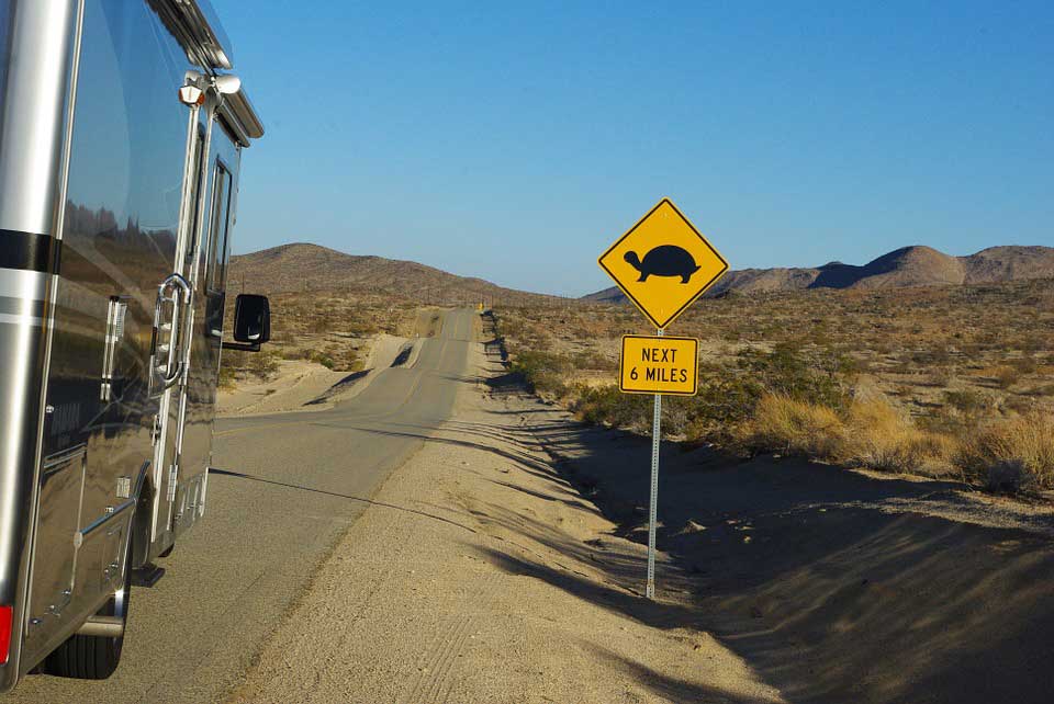 RV passing turtle crossing sign