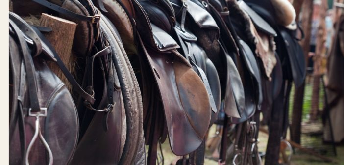 line of saddles hanging over a fence