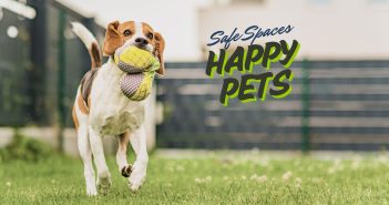 A happy Beagle dog runs across a green backyard with a secure fence in the background, holding a plush toy in its mouth. The text overlay reads "Safe Spaces, Happy Pets" in bold, playful typography.