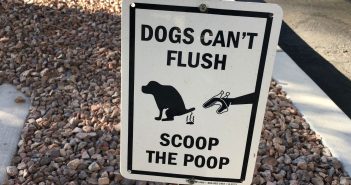 a street sign that says, "dogs can't flush, scoop the poop"