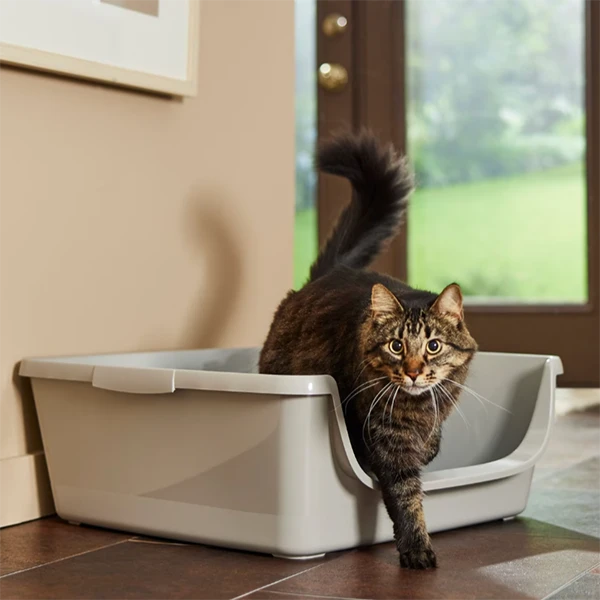 frisco senior low entry litter box