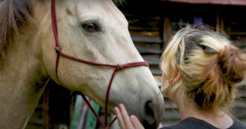 young woman touching a horse's face