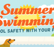 summer swimming pool safety with your pets