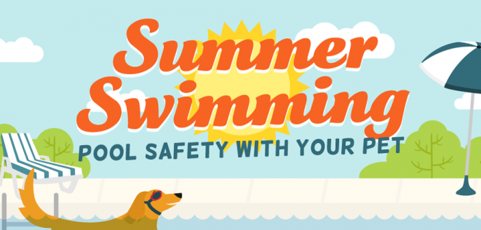 summer swimming pool safety with your pets