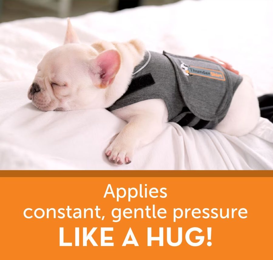 ThunderShirt Classic Anxiety & Calming Vest for Dogs