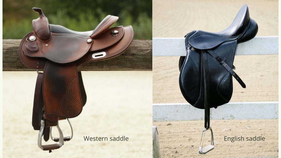western saddle and english saddle side by side