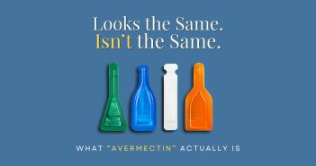 Featured image with the headline “Looks the Same. Isn’t the Same.” above four different topical pet medication droppers in green, blue, white, and orange on a blue background, with the subheading “What ‘Avermectin’ Actually Is.”