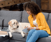 Pet Fees: The Total Cost of Renting with Pets