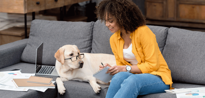 dog wearing glasses sitting with a woman on the couch looking at a notepad