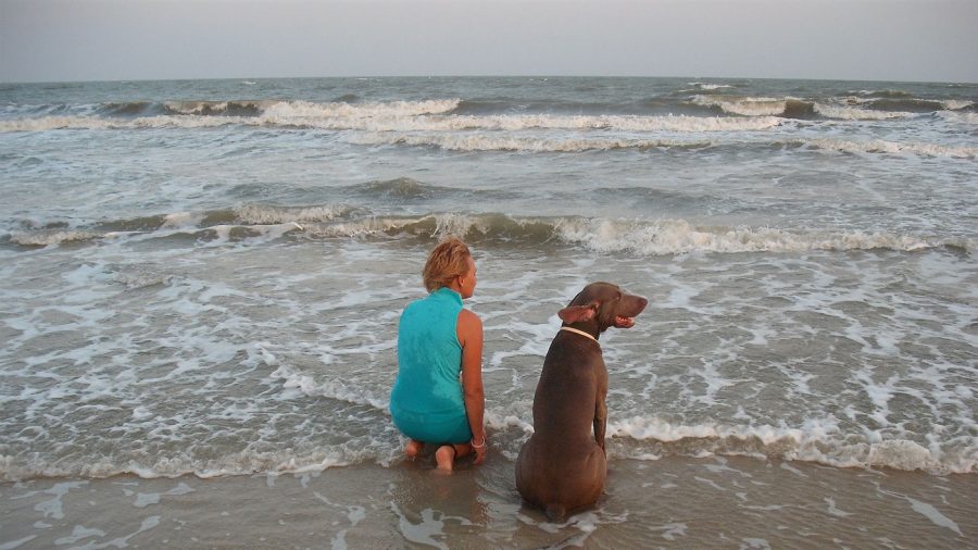 woman and her dog enjoying outdoor time on the beach