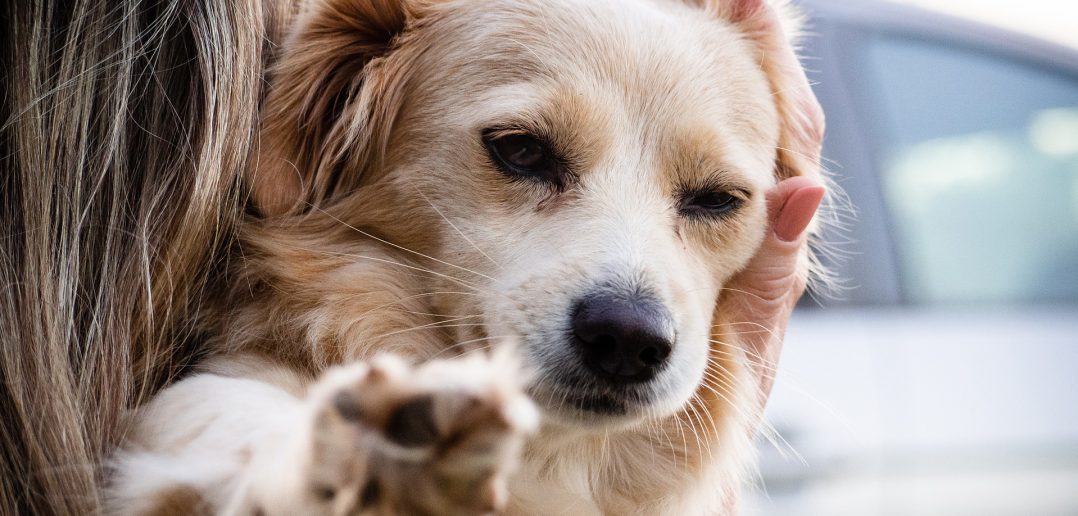 woman hugging her dog
