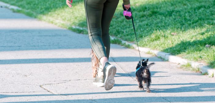 woman walking her little dog on a leash