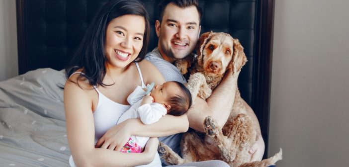 Guide To Introducing Your Furry Baby to Your New Baby