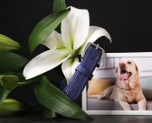 Tiny Reminders of Big Love