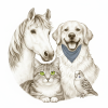 petsblogs profile animals
